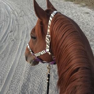 Meet your Posher, Annie